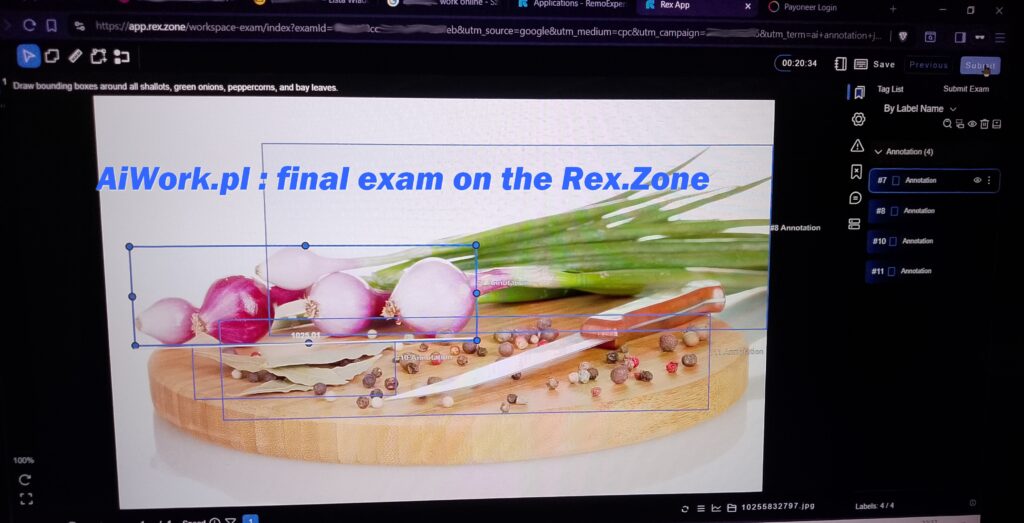 Rex.zone ai work - the final exam with boxes, vegetables and spices